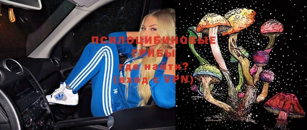 ECSTASY Белокуриха