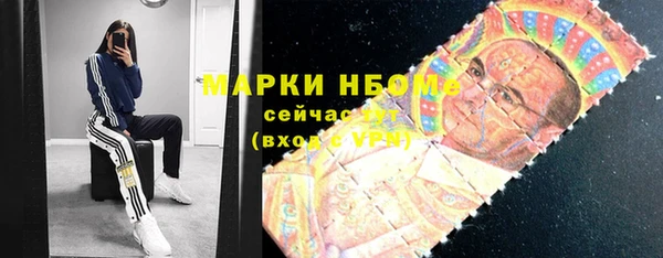 ECSTASY Белокуриха
