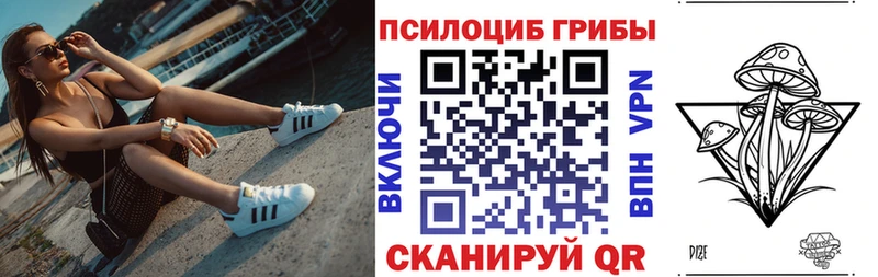 наркошоп Плёс Галлюциногенные грибы Psilocybine cubensis